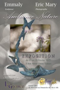 affiche-expo-ambiance-nature