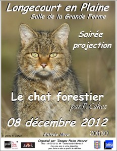 le-chat-forestier