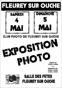 affiche-expo-fleurey-2013