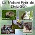 Expo à Longecourt en Plaine