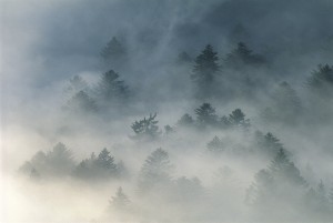 Photo de Vincent MUNIER