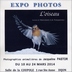 Expo à Dijon