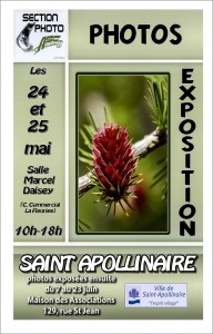 expo-st-apollinaire