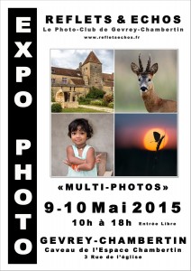 affiche-expo-2015