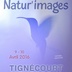 Expos à Tignécourt