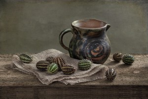 inna-karpova-still-life-with-jug