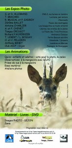 flyers-ipn-2018-verso-1