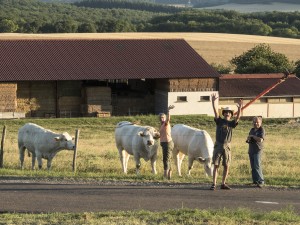 cows-dscn4265